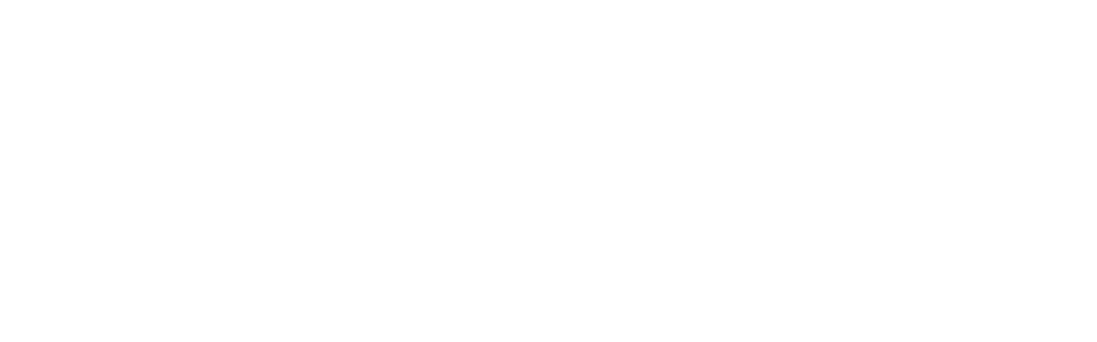 Diversa Experiences Logo
